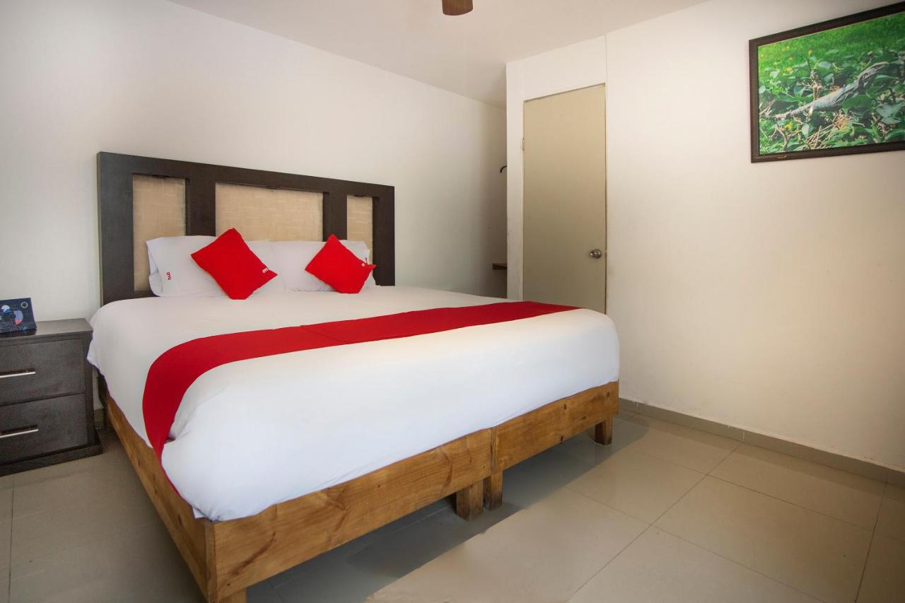 Hotel Mahu 蒙特雷 外观 照片